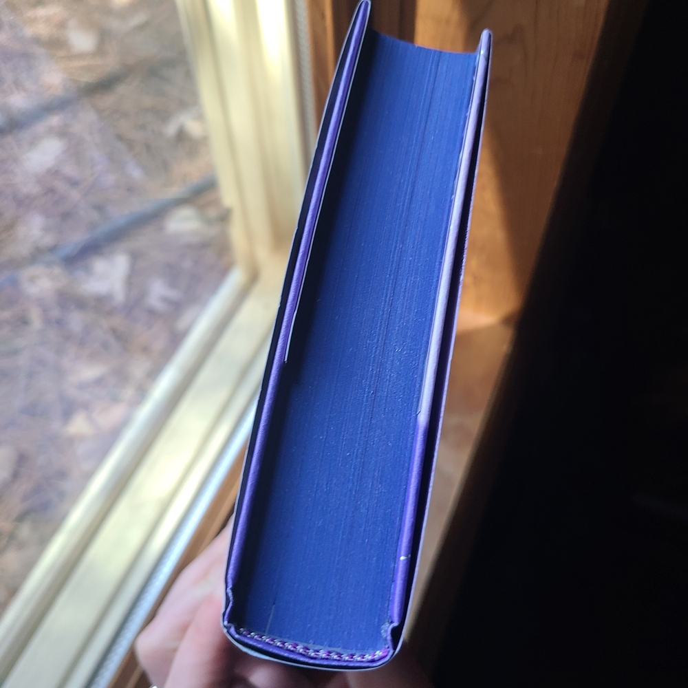 The Last Starborn Seer Hardcover - Purple Cover - Picture 4 of 6
